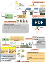 LAS Plantas: Clasificación FUN Ción