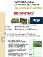 Briofitas
