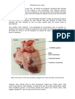 Dissection Du Coeur