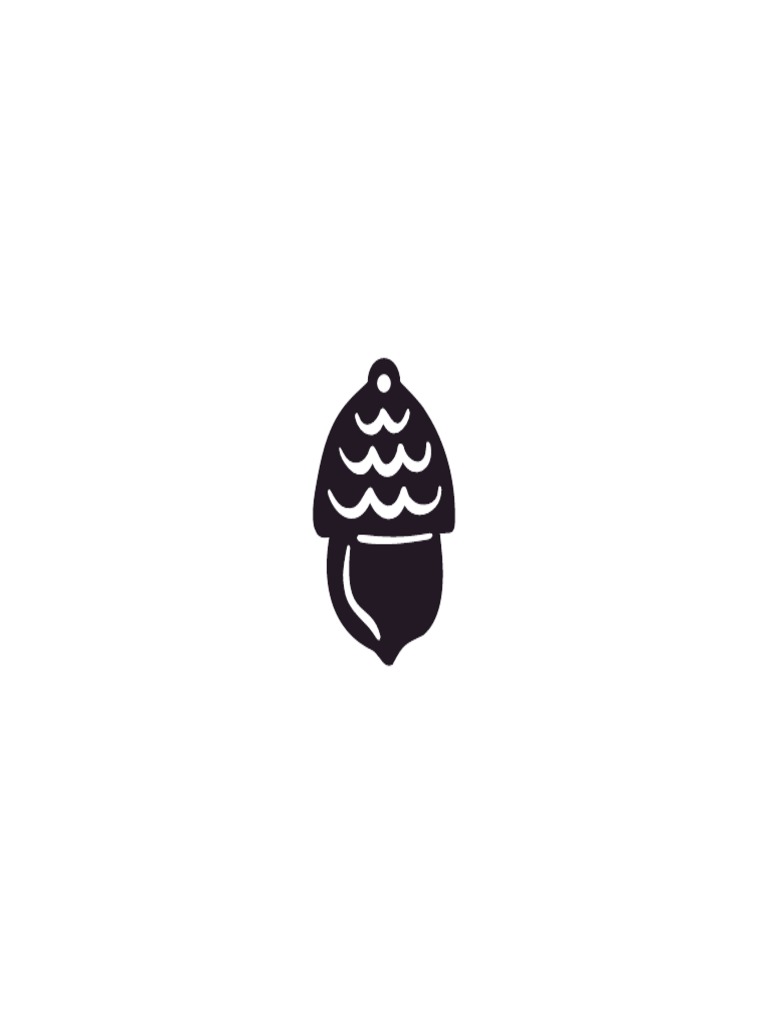 Acorn | PDF