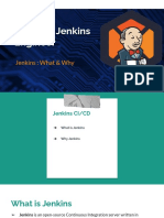 What & Why Jenkins