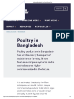 Poultry in Bangladesh _ One Health Poultry Hub