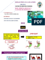 Erge, Hernia Hiatal y Cancer de Esofago