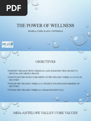 The Power of Wellness-MHA LA Antelope County