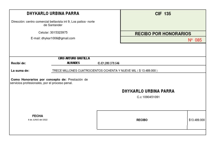 Recibo Por Honorarios Profesionales | PDF