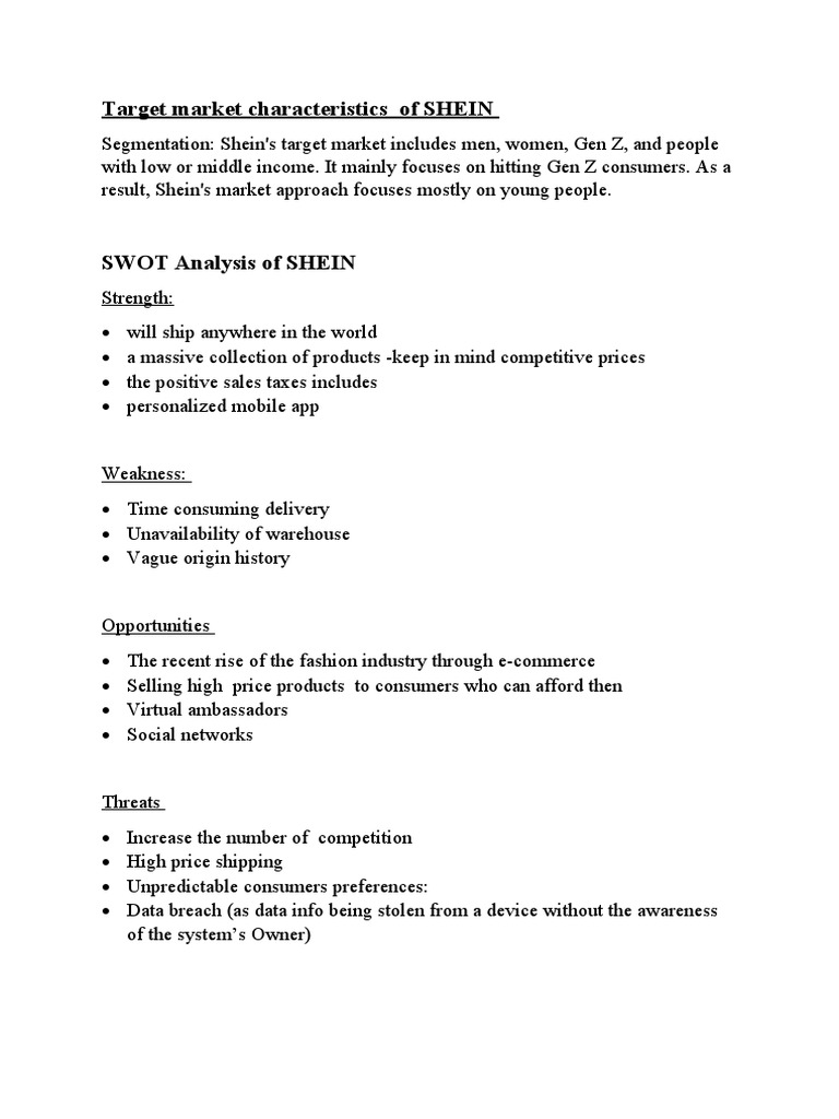 MIS 381 Projects SHEIN | PDF