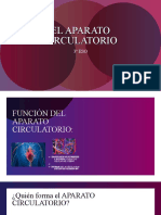 El sistema circulatorio: transporte y funciones