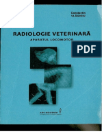 Carte Radiologie Sem 1