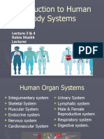 3 Human Body Systems