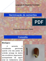 germinação e partes das sementes