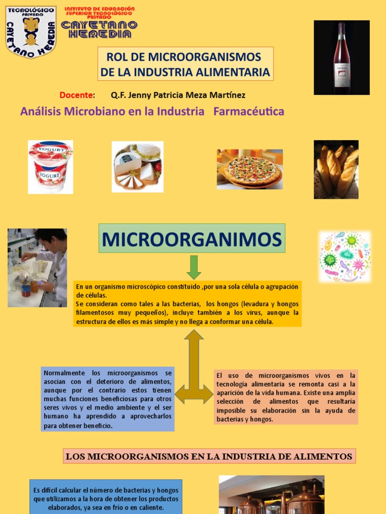 Rol Microorganismos en Ind. Alimentaria | PDF | Fermentación | Levadura