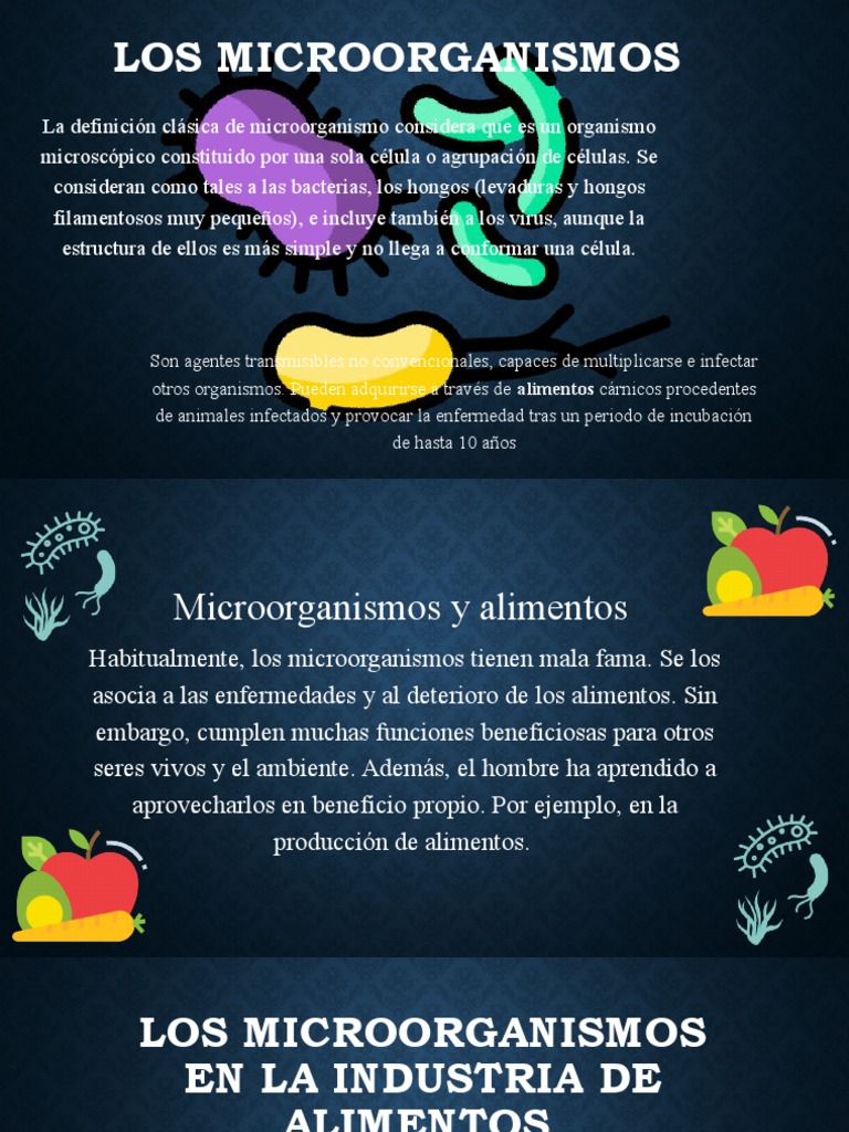Microorganismos en la Industria Alimentaria | PDF | Fermentación ...