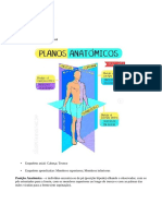 Planos anatômicos e sistemas do corpo humano