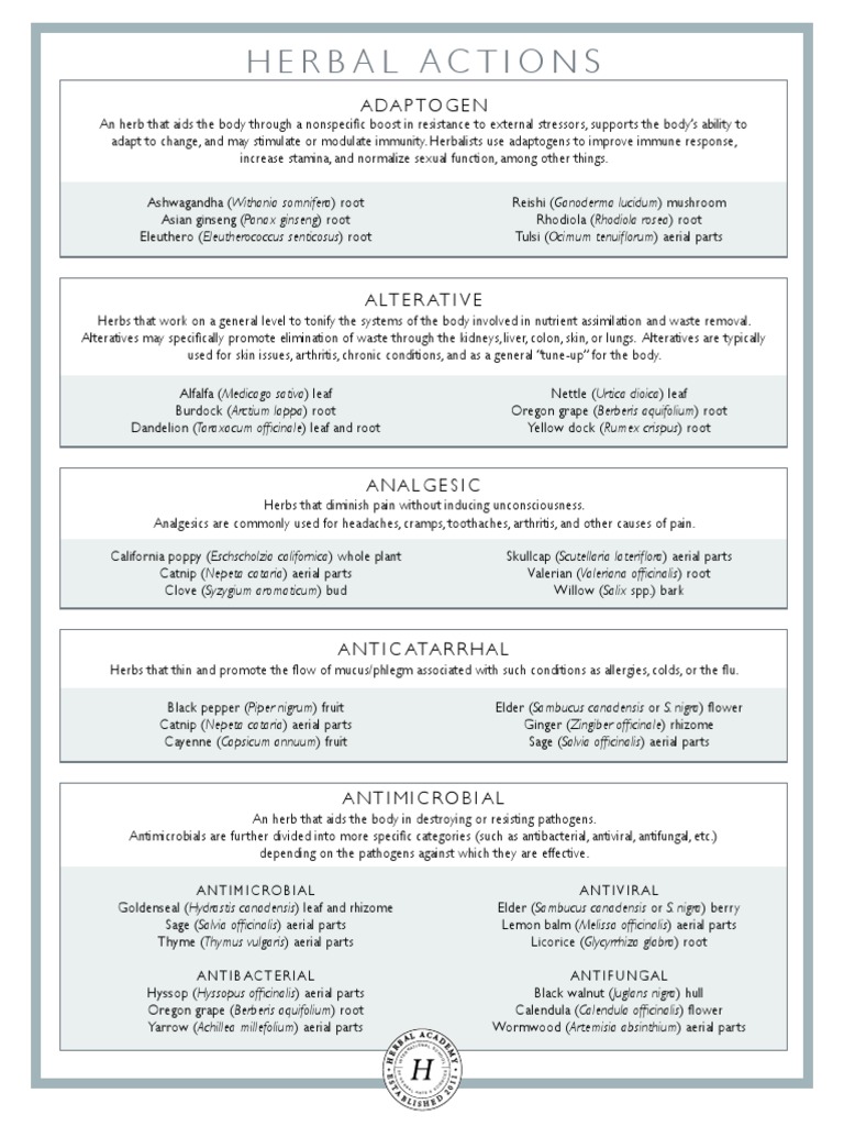 Herbal Actions PDF Fennel Herbs And Spices