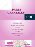 Pares Craneales Lab. Anatomia