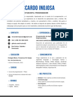 Curriculum Profesional Minimalista Sin Foto Blanco y Negro