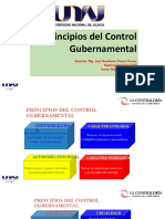 Principios Control Gubernamental