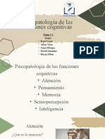 PSICOPATOLOGÍA DE LAS FUNCIONES COGNITIVAS (Final)