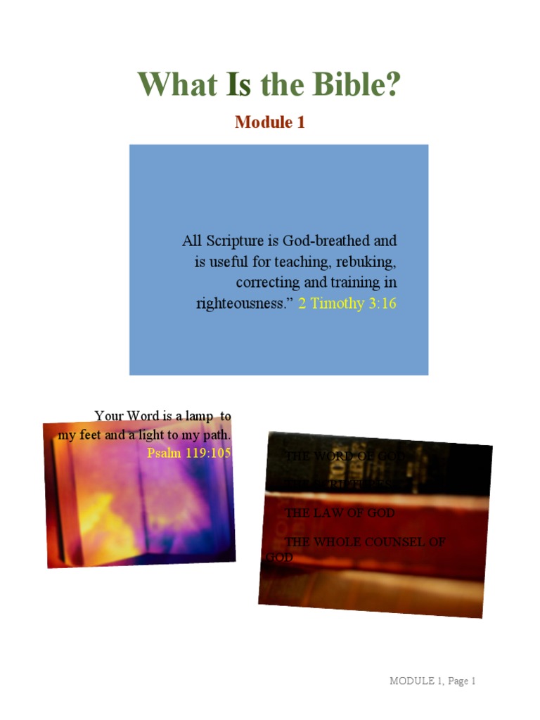 MODULE 1TheBible PDF Bible Revelation