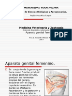 Aparato genital femenino veterinario