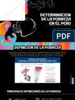 Determinacion de La Pobreza en El Peru