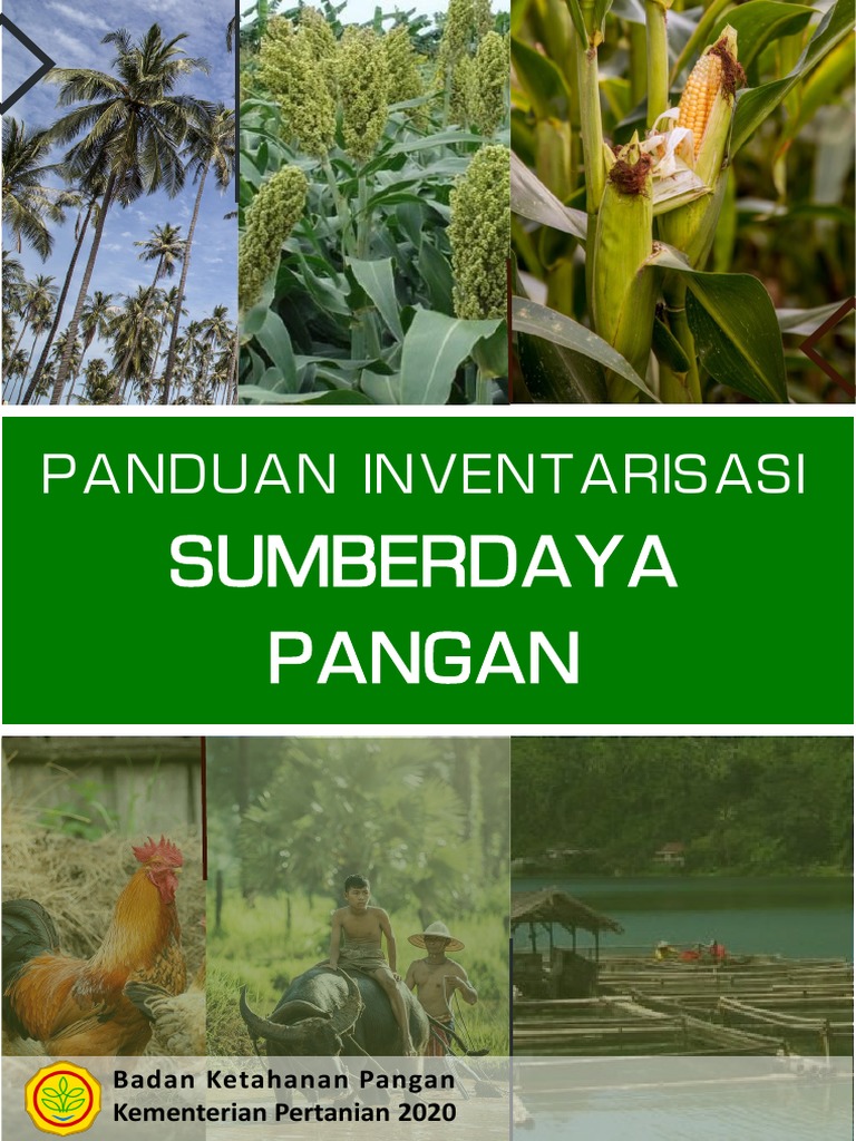 Panduan Sdp 2020 Final Pdf