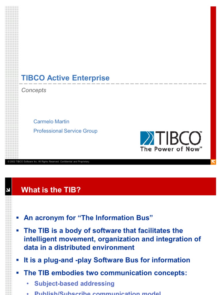03 TIB Concepts | PDF | Application Software | Server (Computing)