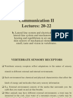 Taste and Vision PPTX - PDF (Lec20-22)