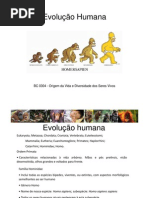 Aula 14 - Evolucao Humana