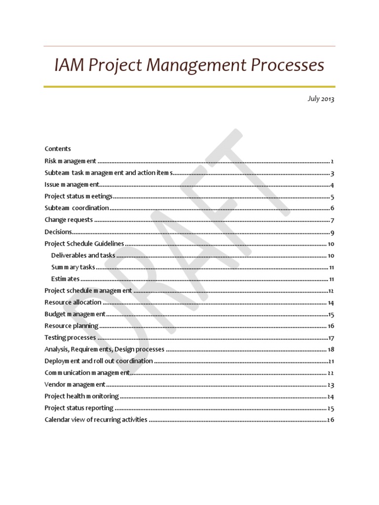 IAM Project Management Processes Guide | PDF | Project Management | Use ...