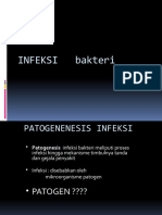 infeksi-bakteri-2011