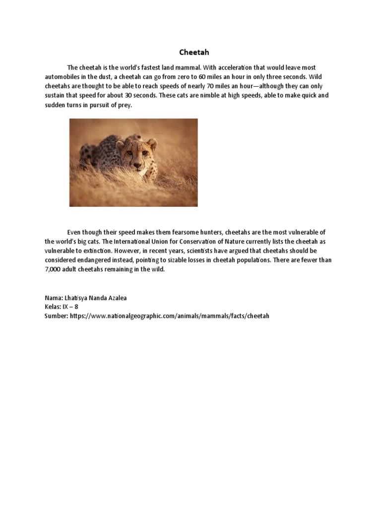 Cheetah: Fastest Land Mammal Facts | PDF | Home & Garden