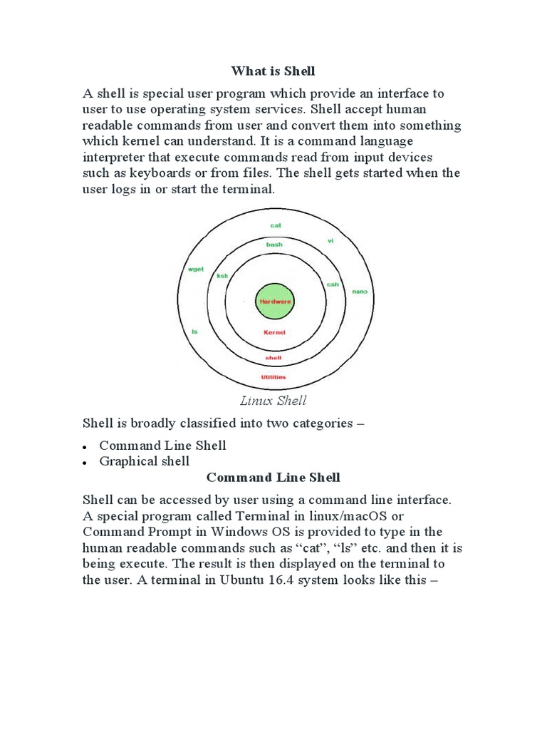 What Is Shell | PDF