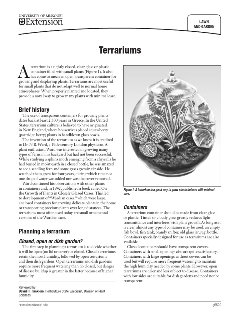 Terrariums Brief History PDF