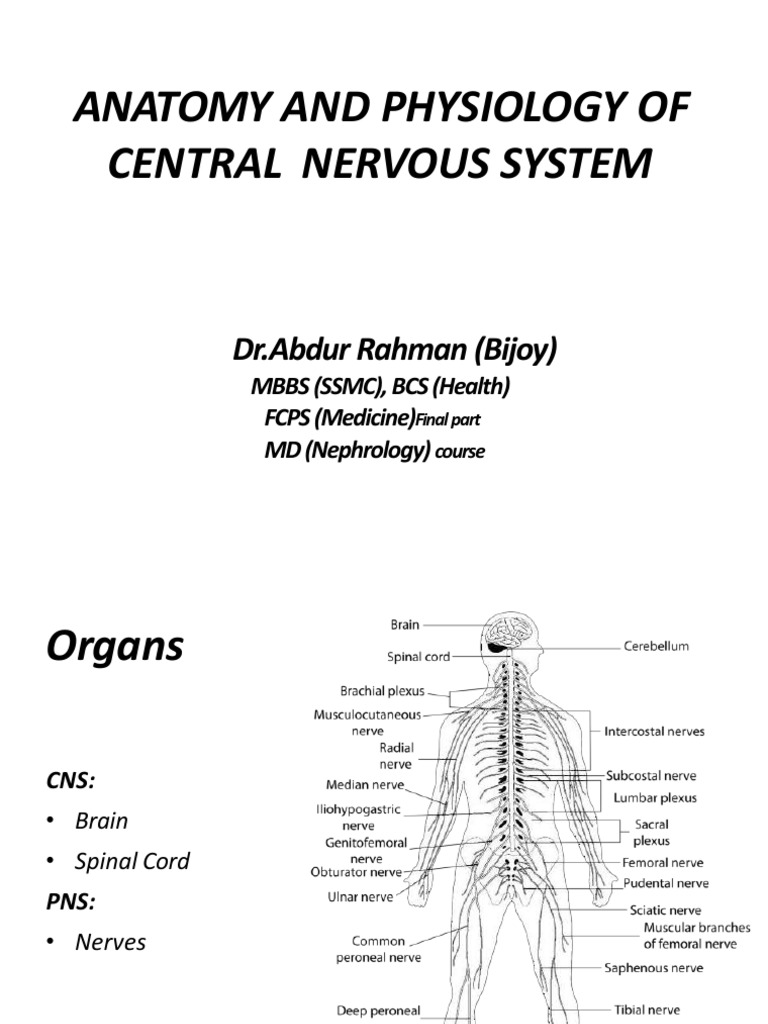 Anatomy intelligence overview