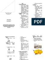 Leaflet Diabetes Melitus