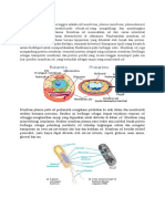 Membran Plasma Dan Sitoplasma