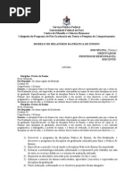Modelo de Relatorio Pratica de Ensino