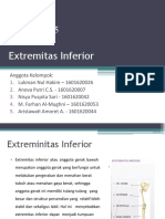 PPCO Extremitas Inferior-KELOMPOK 5