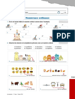 Ficha 16 - Numéraux ordinaux