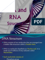 DNA and RNA NOTES