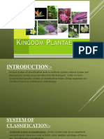 Plant Kingdom