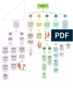 Sistema Endocrino 2