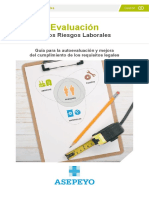 G1E16020 Guía Evaluación de Los Riesgos Laborales - Asepeyo