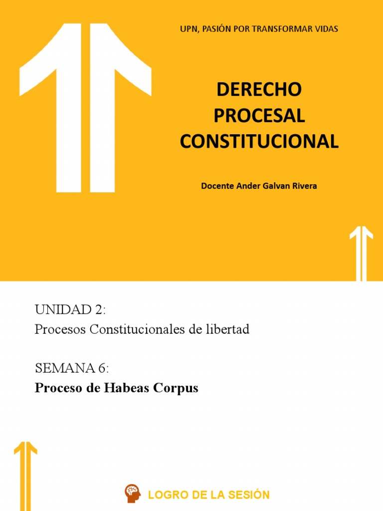 S06 - Proceso de Habeas Corpus | PDF | Habeas corpus | Derecho ...