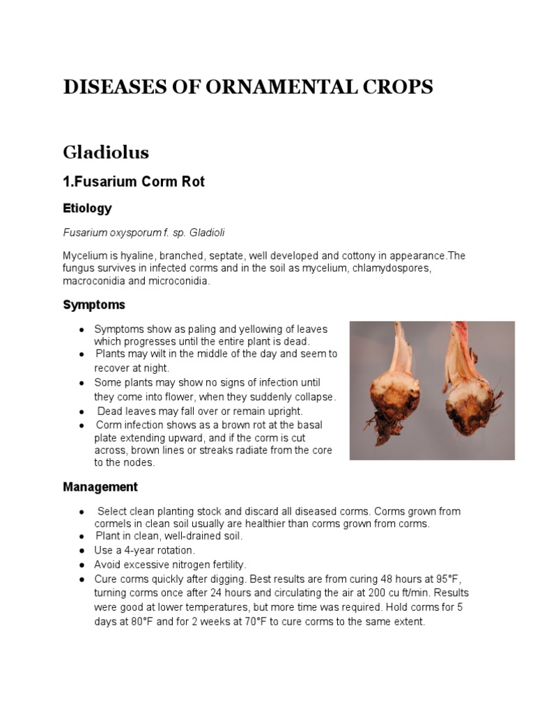 Disease of Ornamental Crops PDF Organisms Branches Of Botany