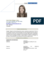 CV Lina Paola Villegas Castro - Consultora