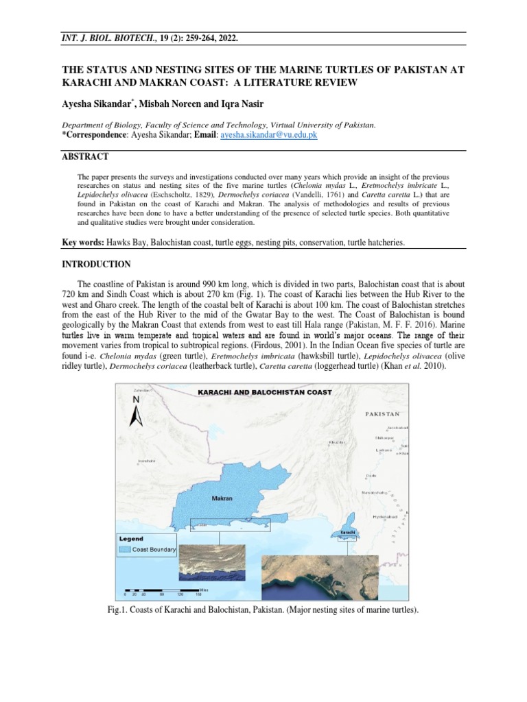 Marine Turtles of Pakistan | PDF | Sea Turtle | Turtle