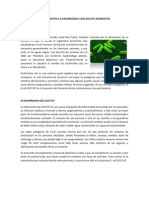 Como Influye La Escherichia Coli en Los Alimentos