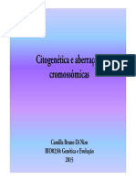 Citogenética e Aberrações Cromossômicas - Camilla Bbruno Di Nizo